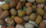 PNT-71MIX  I